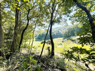 【外観】 | 桜川市犬田270坪売地
