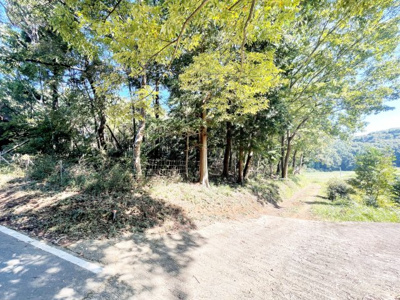 【前面道路含む現地写真】 | 桜川市犬田270坪売地