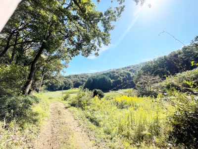 【前面道路含む現地写真】 | 桜川市犬田270坪売地