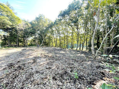 【外観】 | 桜川市犬田270坪売地