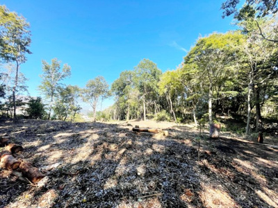 【外観】 | 桜川市犬田270坪売地