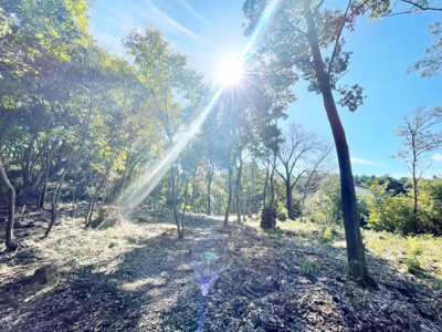 【外観】 | 桜川市犬田283坪売地