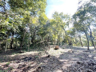 【外観】 | 桜川市犬田283坪売地