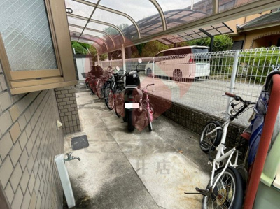  | エバンジェル