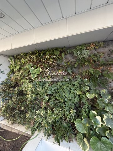 ジェノヴィア目黒南グリーンヴェールのその他