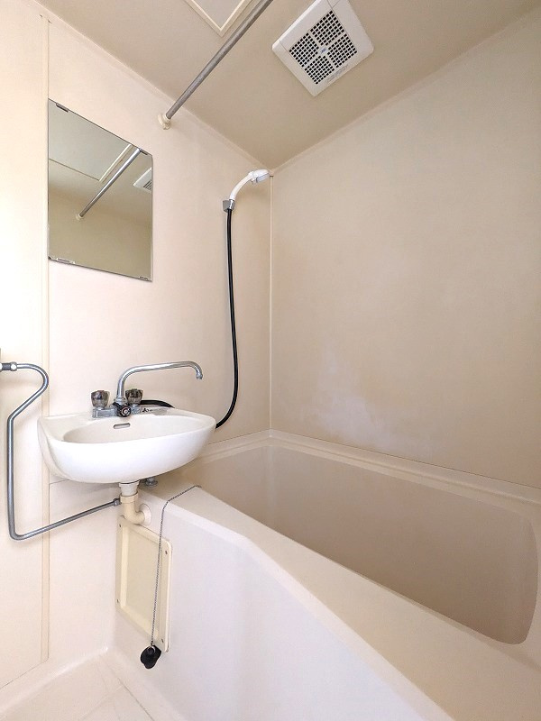 ベルディア浜町の洗面所