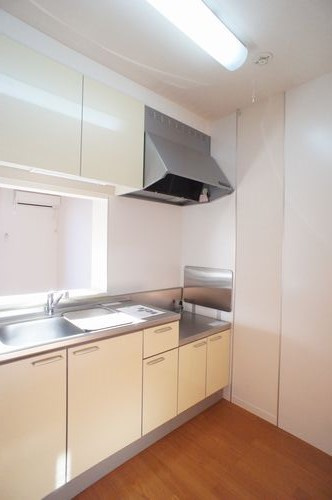 ディアス・コスモ大泉 壱番館のキッチン