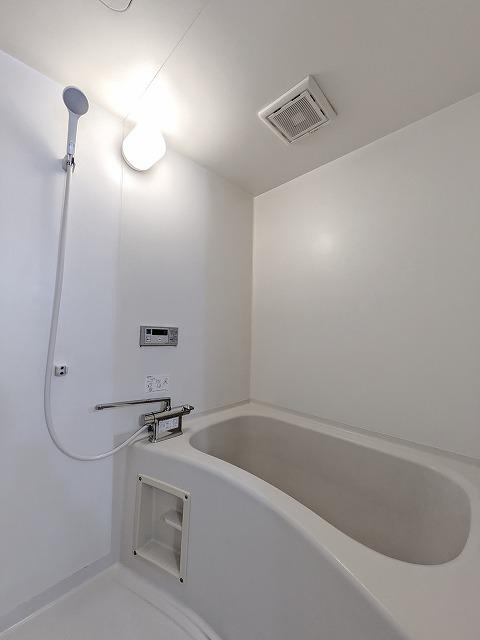 ニューキャッスルの浴室