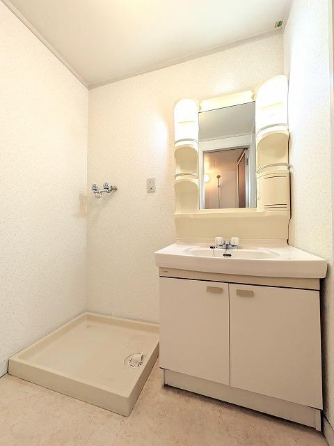 ニューキャッスルの洗面所