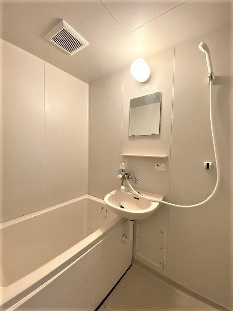 ハイツアーバンヒルズの洗面所