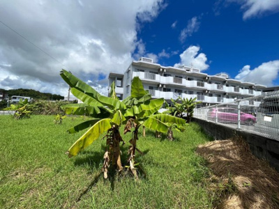  | うるま市字江洲96.49坪