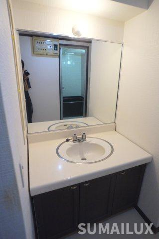 ライオンズマンション新大江第２の独立洗面台