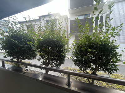 【展望】 | クリスタルロード