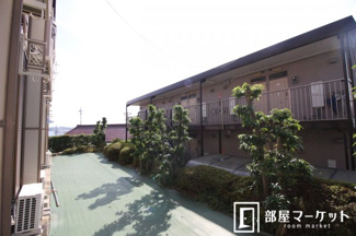 【展望】 | 同型タイプ