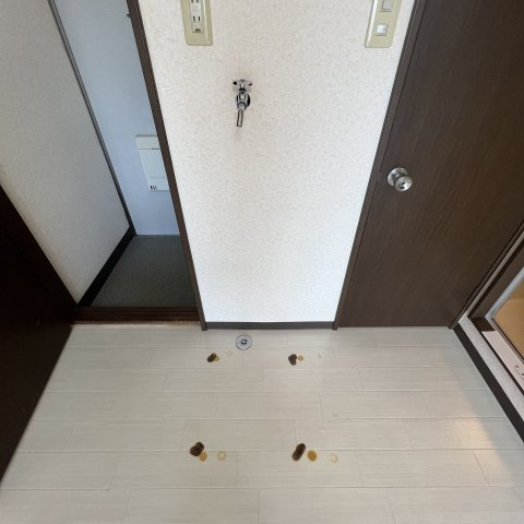 ファーストのエントランス