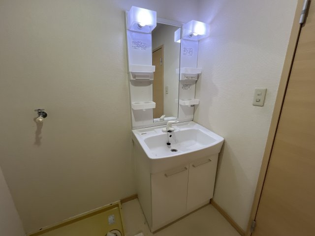 エスポワール新在家の洗面所