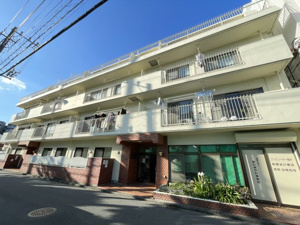 カスティリヨ東白楽の画像