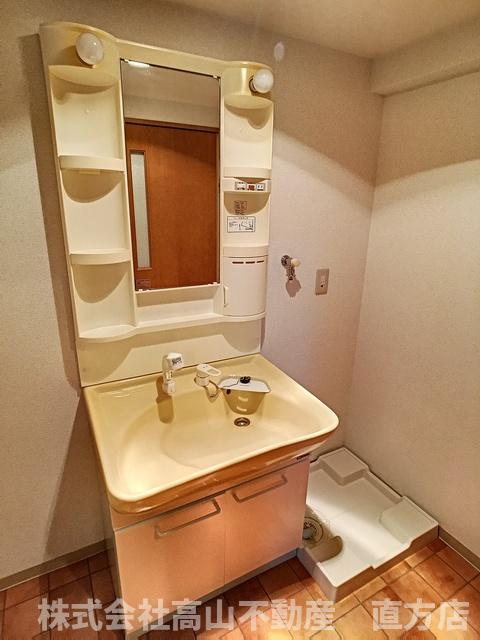 直方市大字感田の賃貸マンションの洗面所