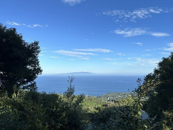 【展望】 | エンゼルフォレスト伊豆赤沢　戸建