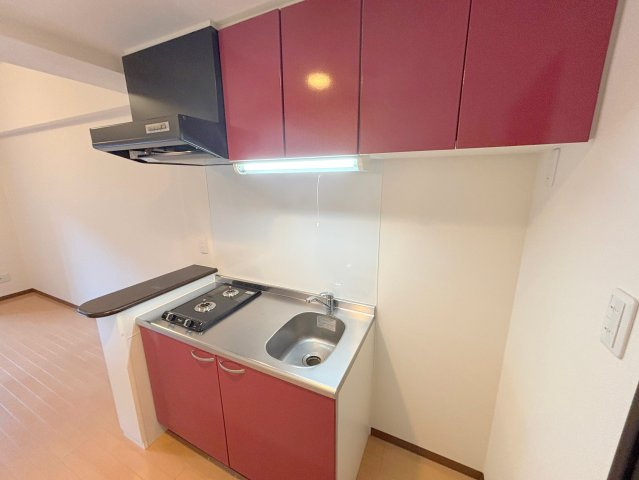 エクセレント上新20のキッチン