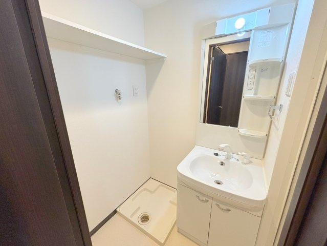 エクセレント上新20の洗面所