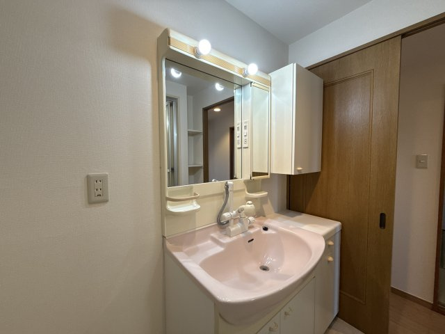 ロイヤルシャトー手柄南の洗面所