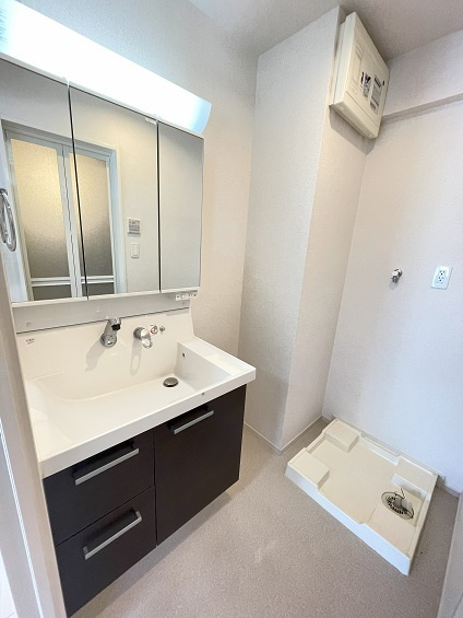 台東区雷門２丁目の賃貸マンションのその他|洗面