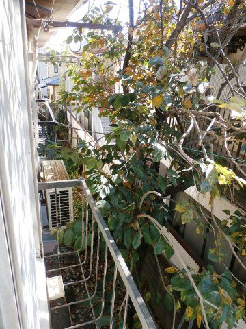 【展望】 | 三鷹ハイツA棟