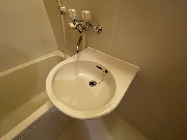 プラッツ豊四季の洗面所