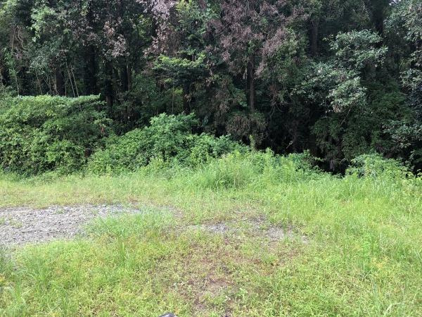 高岡町下倉永・土地のその他