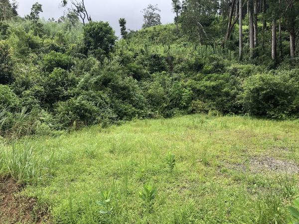 高岡町下倉永・土地のその他