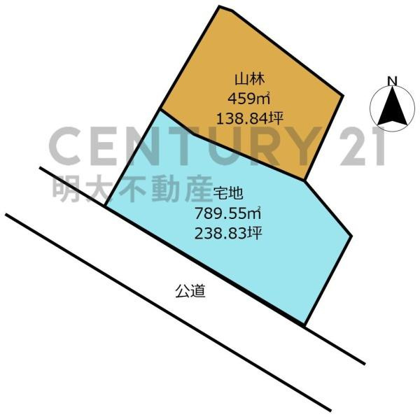宮崎市大字金崎・土地の土地図