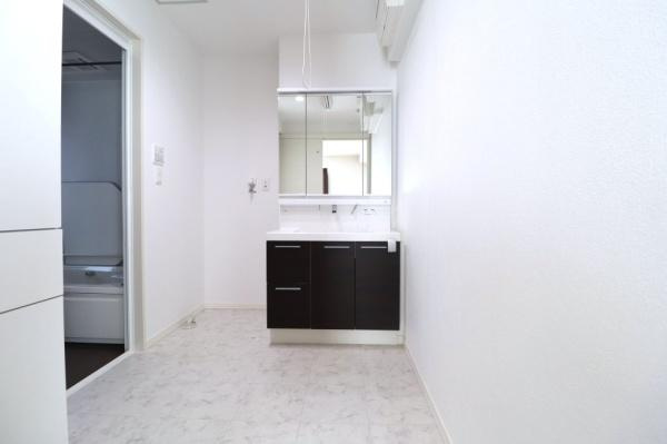 宮崎市月見ヶ丘　中古戸建の独立洗面台