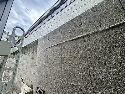 レナータ の展望