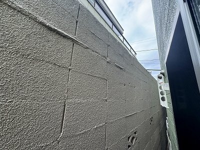 レナータ の展望