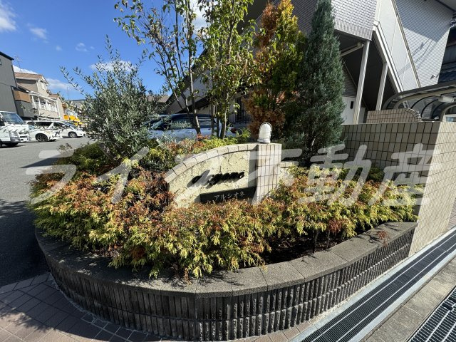 alcyoneの庭|お庭です