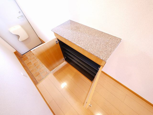 プロムナードⅡの玄関|玄関です