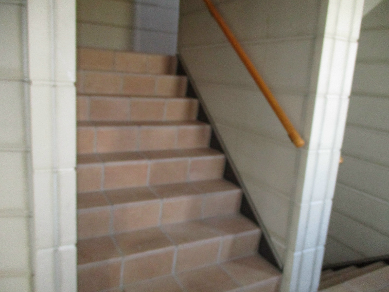 フェアリーマナのその他