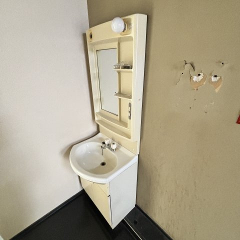 エスタビルの洗面所