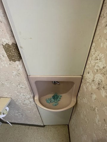 エミネンス加茂川の洗面所