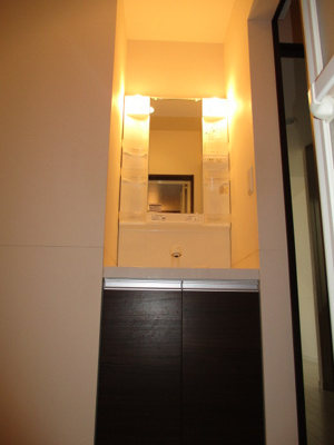 【洗面所】 | 仲介手数料半額！HPに初期費用掲載「プライスホーム」で検索！GRANDTIC THE PRESTON