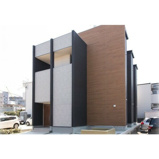 Ali di Luceの画像