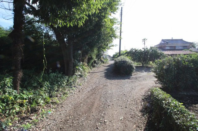 野木町友沼の前面道路含む現地写真|北西側から南西側撮影