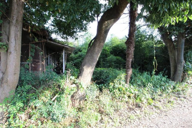 野木町友沼の外観|西側中央建物一部撮影