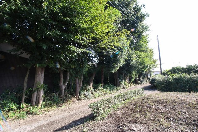野木町友沼の外観|西側中央撮影