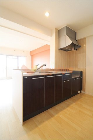 第33上野ビルのキッチン|きれいなキッチンです