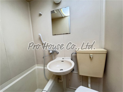 【洗面所】 | プラチナパレス