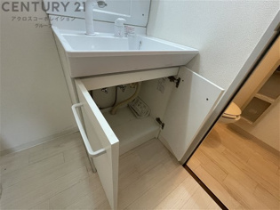 ピュールヴィサージュの収納
