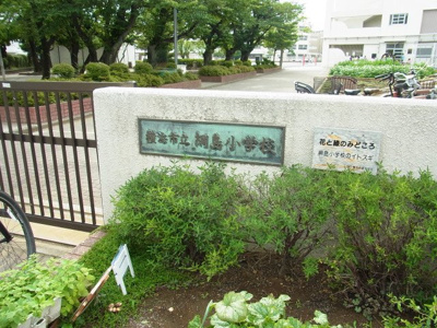 横浜市立綱島小学校まで450ｍ