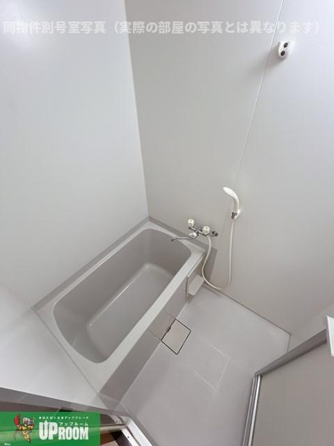 Surplus宮前Bの浴室